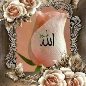 Meet your Posher, Naseemasoni